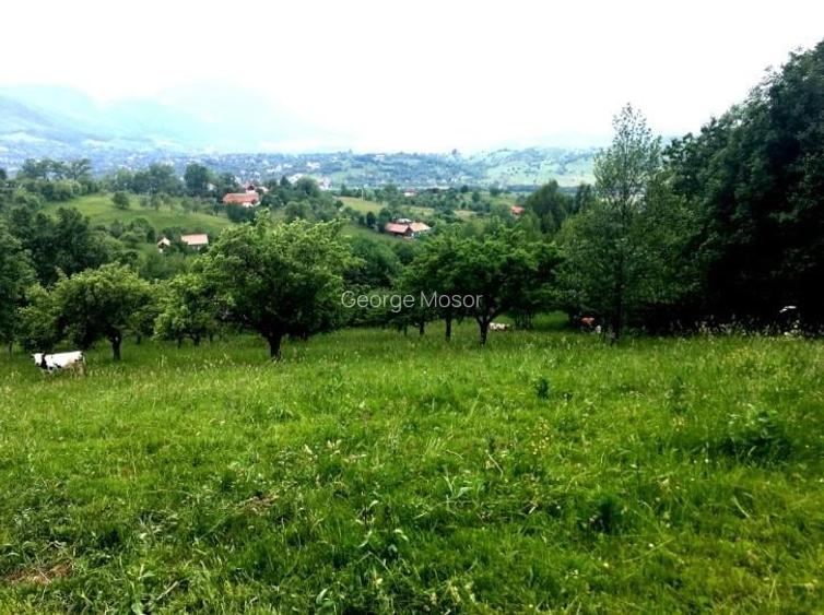 Teren Construcții intravilan de 20000 mp, în Exterior Est Teren Construcții intravilan de 20000 mp, în Exterior Est