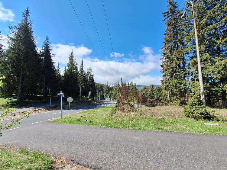 TEREN DE VANZARE 7000 MP INTRAVILAN -STATIUNEA PALTINIS! - 4