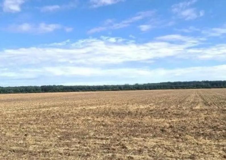 Teren extravilan Branesti, ID: R2649181 - 4