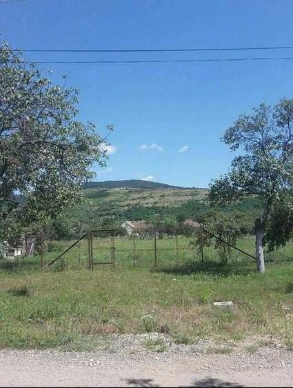 Casa de vanzare Cuvin (Arad) - 5