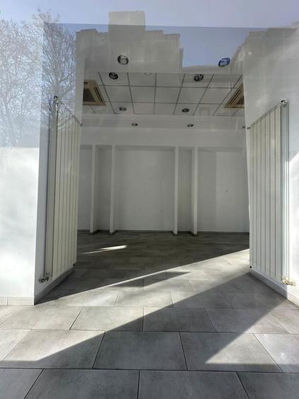 Zona Dimitrie Cantemir-Budapeste Sp153 mp P+Supanta - 3