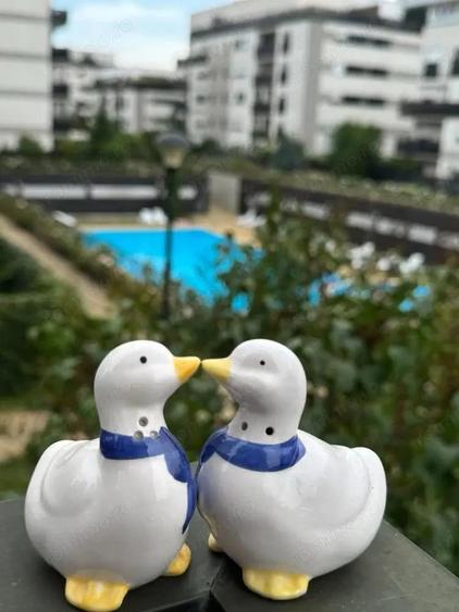 Inchiriere 3 camere Natura Residence - 7