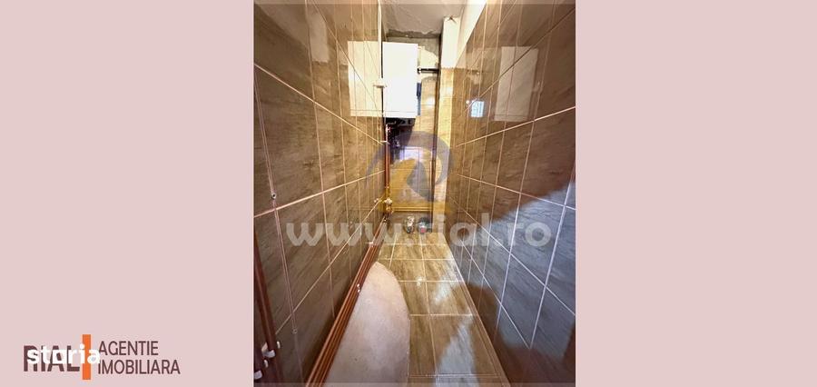 Investitie/Airbnb Apartament la curte, zona Ultracentrala - 8