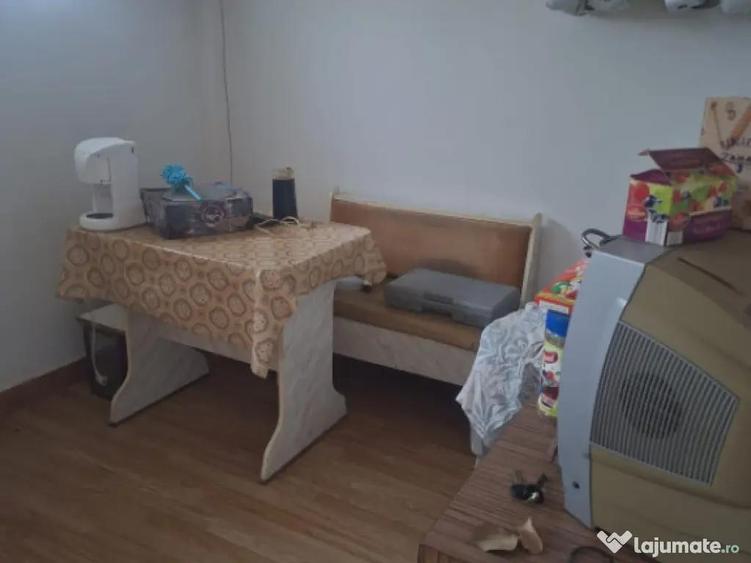 Casa individuala, 125 mp, zona Pictor Rosenthal - 2