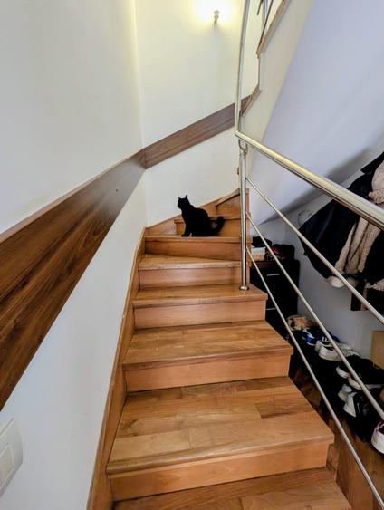 P+E+M,cartier rezidential elegant,liniste,paza,bariera,nepoluat,vecini deosebiti - 11