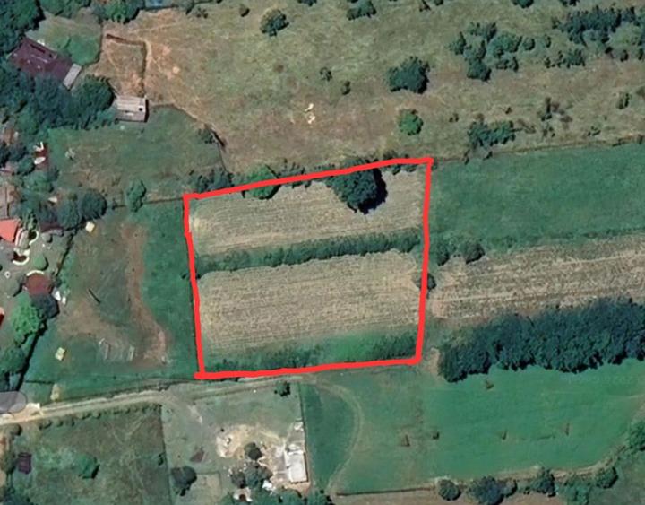 Teren de Vanzare in Curtea de Arges (2645 mp) Ideal Parcelare - 6