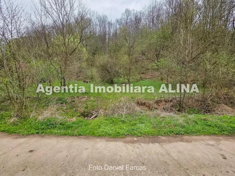 Teren intravilan 1.700 mp + 6.600 mp Padure de foioase + 1.200 mp Padure de foioase, Sat Nojag. - 7