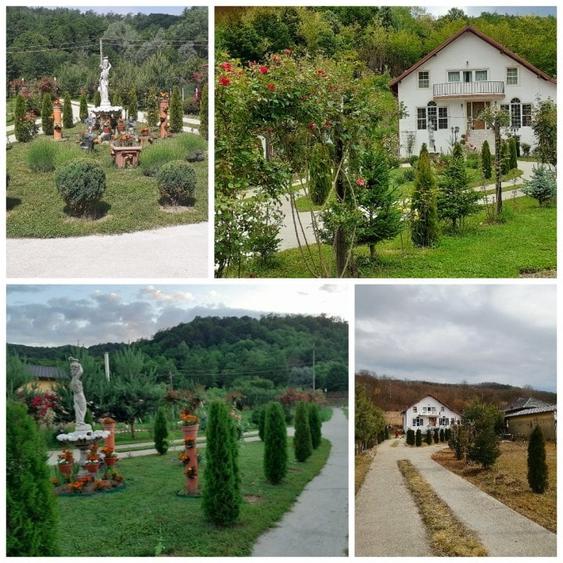 Casa P+M, Malureni -Toplita,  teren 2.798mp - 1