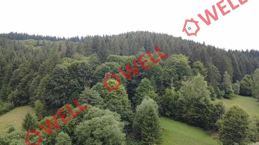 De vânzare teren extravilan în Întorsura Buzăului, pe punctul numit „Tomoja” - 2