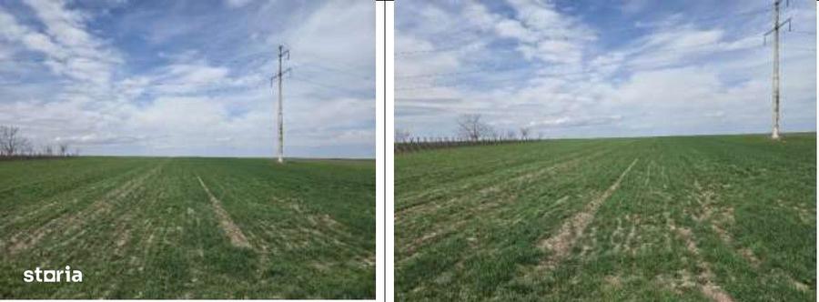 Teren extravilan Cota parte 29/64 Greaca, ID: R3030129 - 7