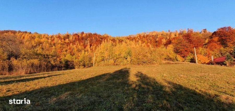 Vand teren intravilan la Muntele Rece - 2