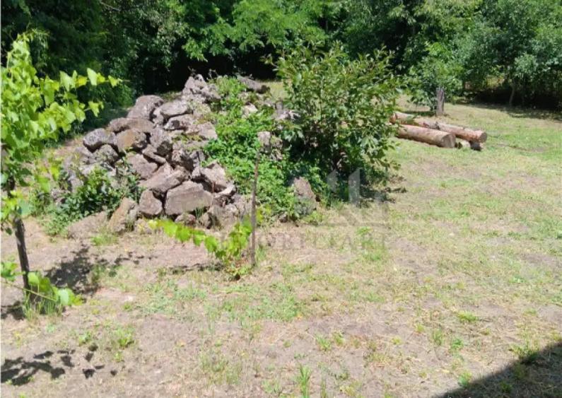 Copou Vila P M Su.165mp Teren 1000mp vecin cu limita Gradina - 2