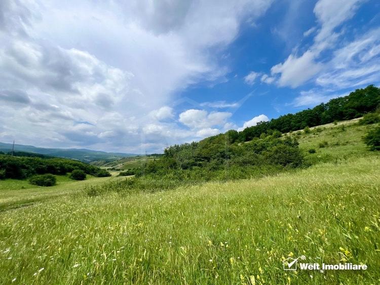 Oportunitate investitie, teren cu panorama pentru cabane - 6