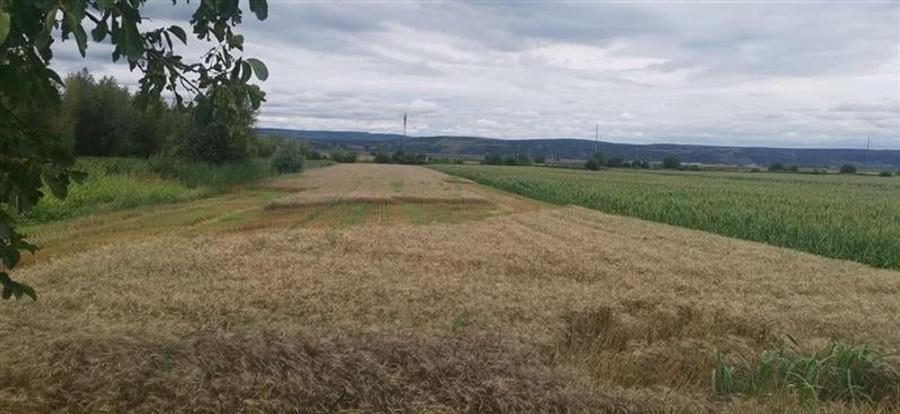 Teren extravilan 10400 mp, cu deschidere de 33 ml, zona Racaciuni - 9