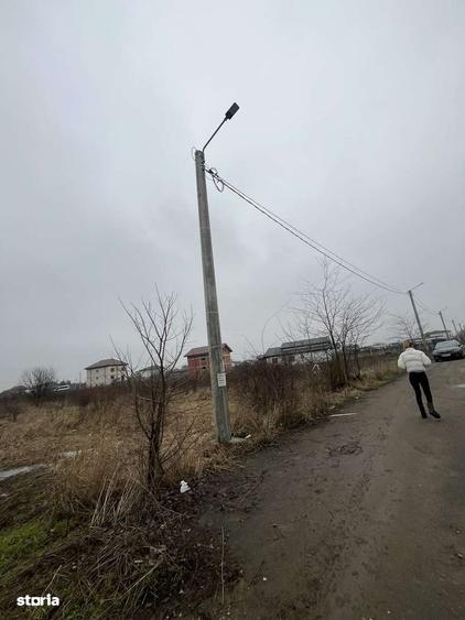 Teren 1250m de vanzare Ilfov - 5