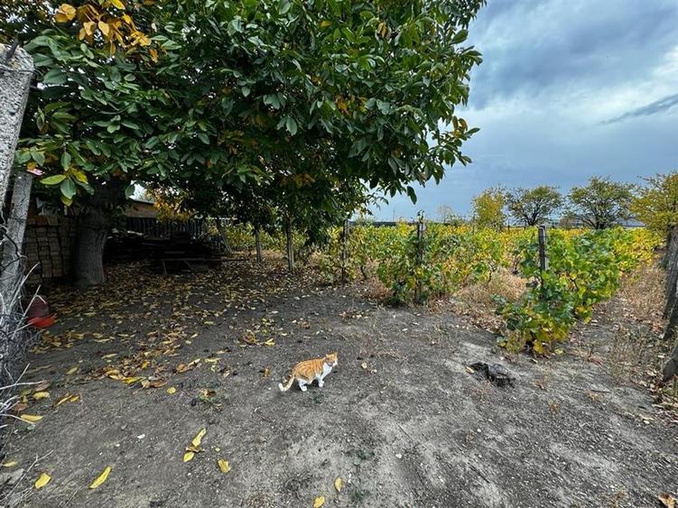 CASA DE VANZARE ODOBESTI (ZONA DE VILE) - 7