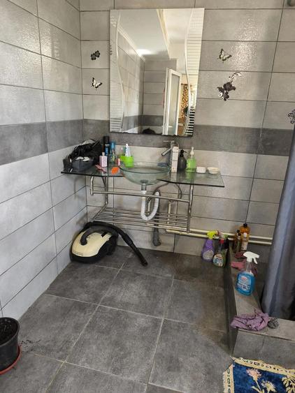 Proprietate completa 0,9 ha Casa P+1 + foi?or + livada + padure in spate Boga?i, Arge? - 5