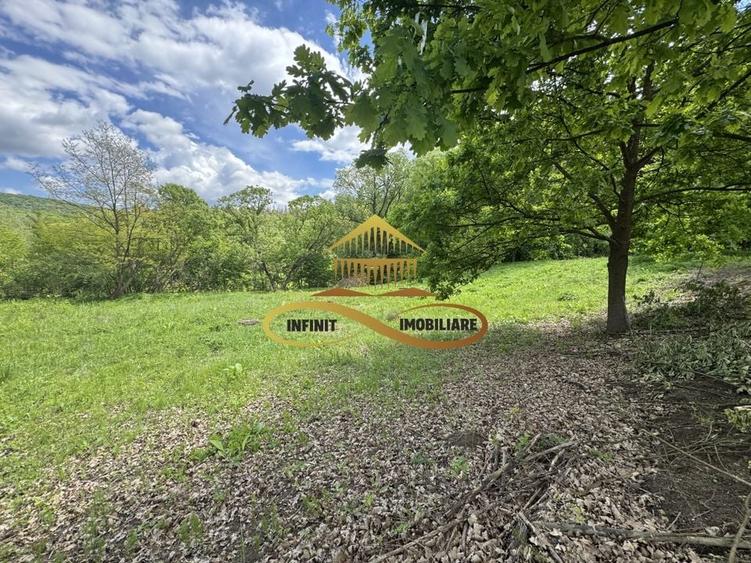 Teren intravilan | 3.128 mp INTRAVILAN | Luncani-de vanzare - 5