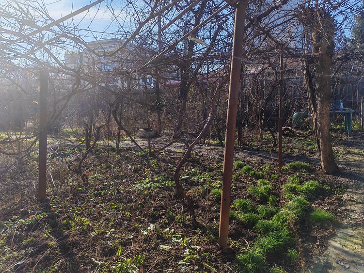 Teren ideal constructii in Pajura - 5