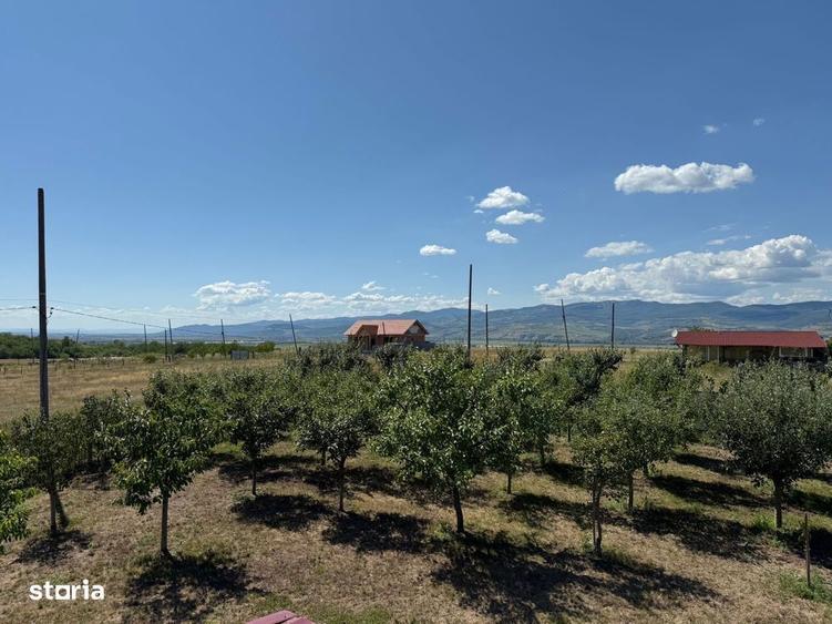 Cabana de lemn, 2 camere, teren 850 mp, livada, Oarda, Alba Iulia - 1