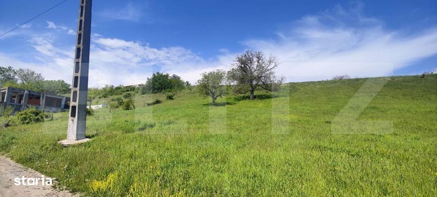 Teren Panoramic 15.500 mp Investitie sau Dezvoltare, Zona Aleea Ma - 1