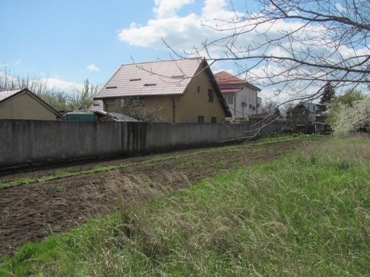 Cornetu - Lalelelor, Stradal - 5