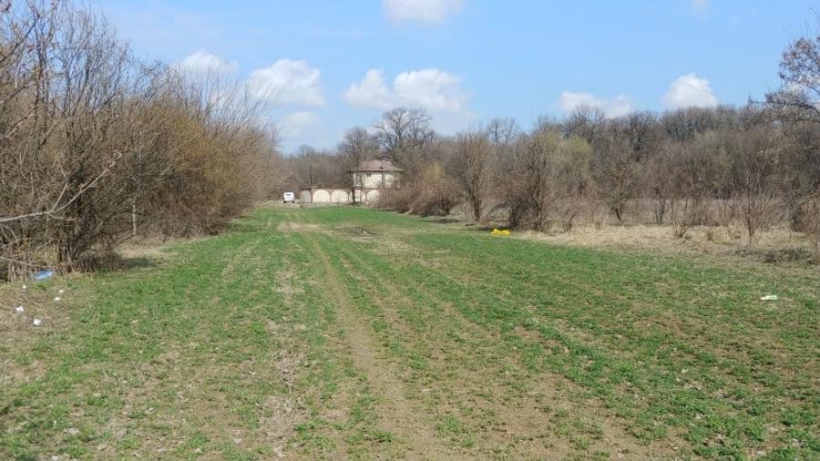 Teren intravilan Măgurele langa padurea Cornetu si Arges - 8