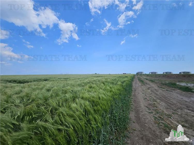 TEREN INTRAVILAN 50000 MP AGIGEA ZONA RO RO - 8