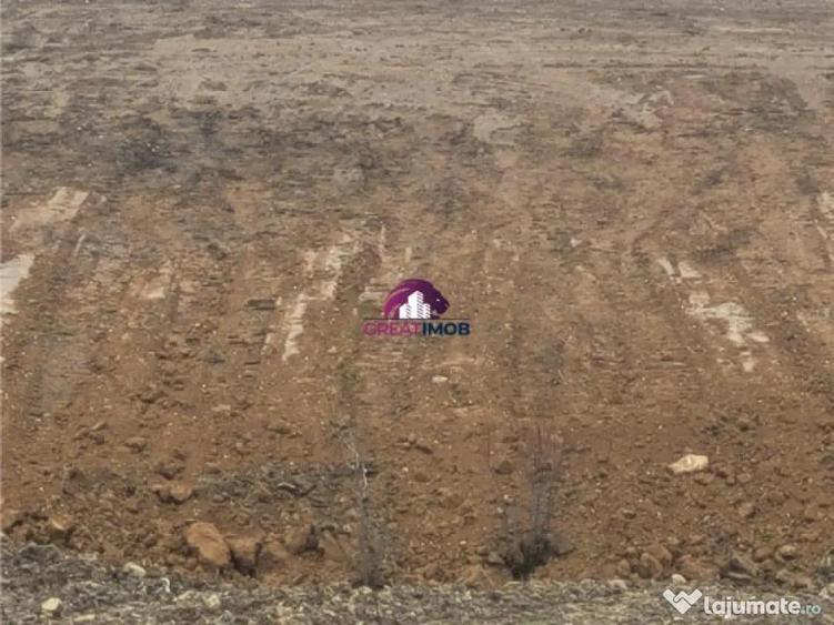 Teren 55.500 mp Snagov Lac - 2