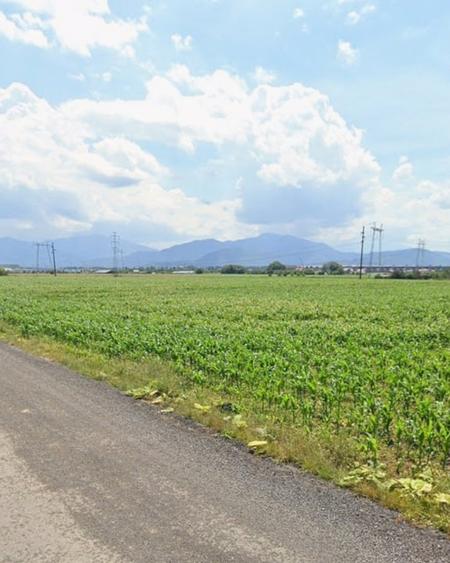 Loturi de casa 535mp cu utilitati, zona Primaverii, Sanpetru - 2