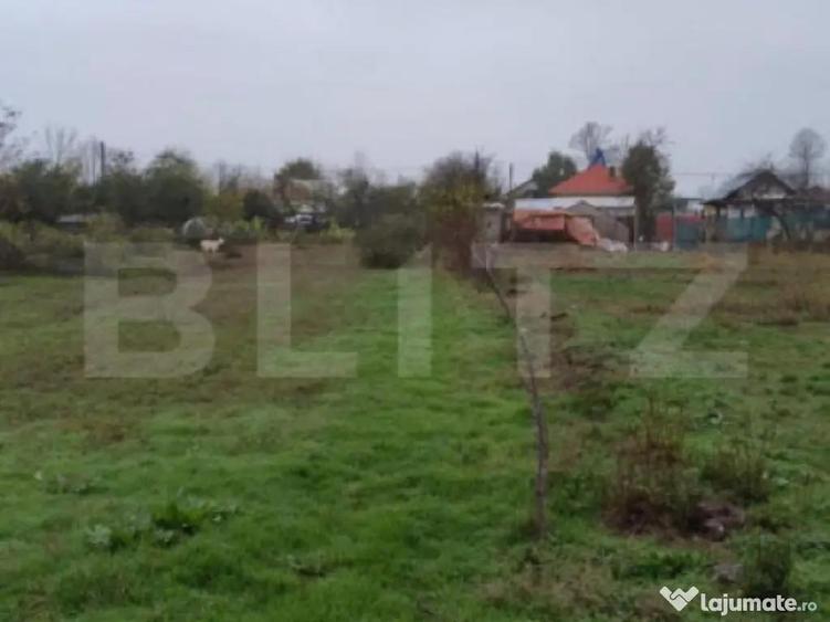 Ocazie investitie! Teren intravilan cu acces stradal, Petre - 6