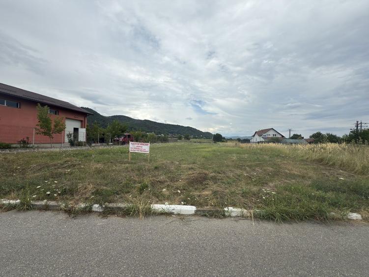 Teren de vanzare - 2