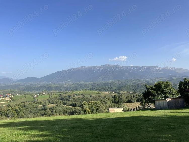 Casa de vacanta sat Pestera, Brasov - 7