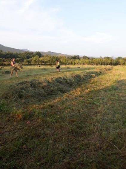 Casa Visurilor Tale !!! Com Crasna, Sat Crasna Din Deal . Jud Gorj - 3