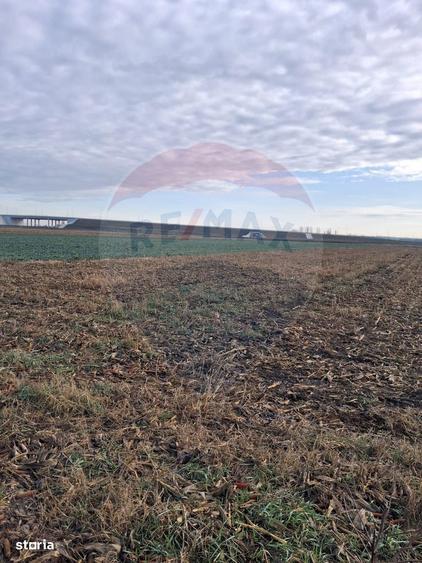 Teren intravilan 3400mp de vanzare la Santion - 5