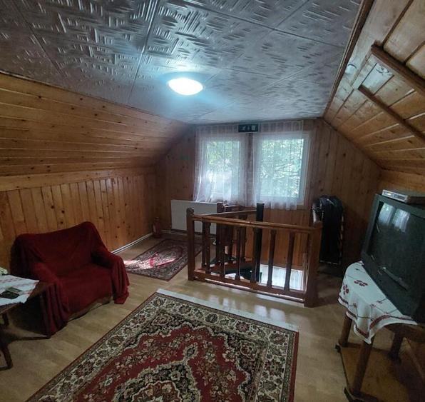 Pensiune turistica (afacere la cheie) Lepsa - 9