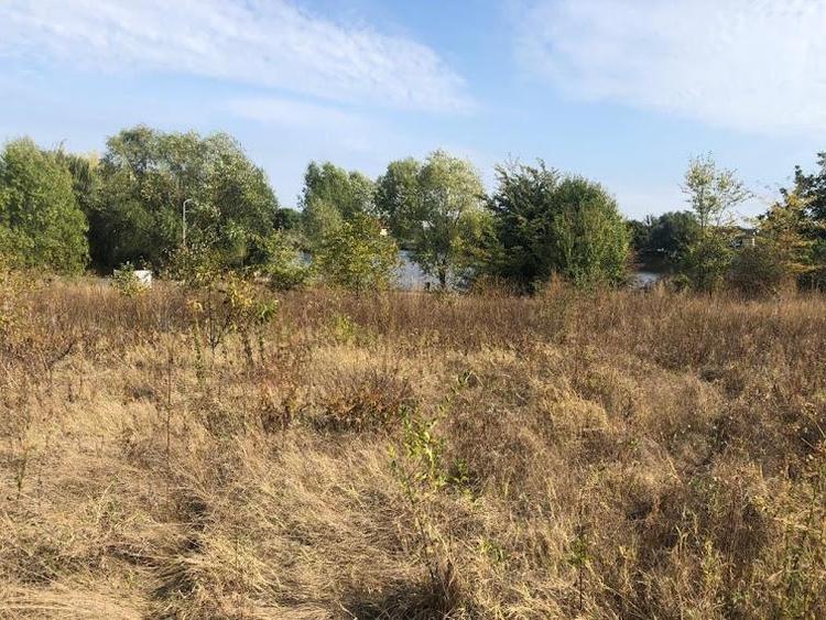 Teren Corbeanca Str. Laguna Albastra iesire la apa - 4