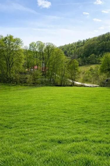 TEREN DE VANZARE -DEALURILE SULTANULUI - 2