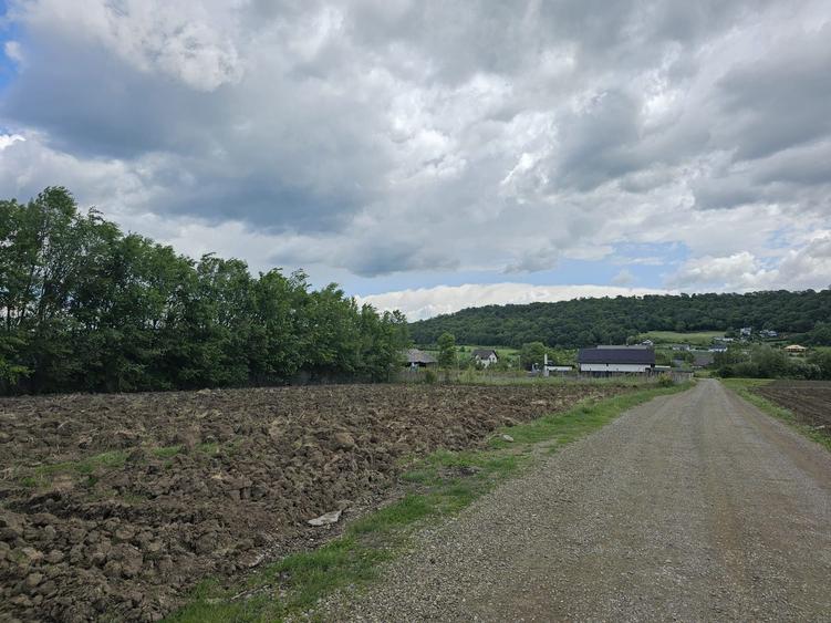 Teren de vanzare la iesire din Suceava spre Mitoc - 6