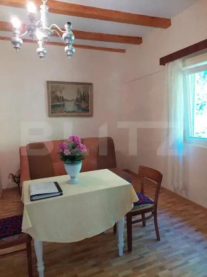 Casa la munte, 5 camere, 4800 mp teren, zona Ocolis - 3