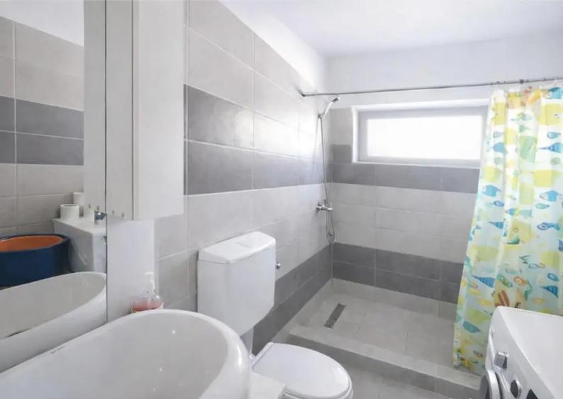 Casa deosebita cu curte proprie, proiect Valea cu Flori, Izv - 5