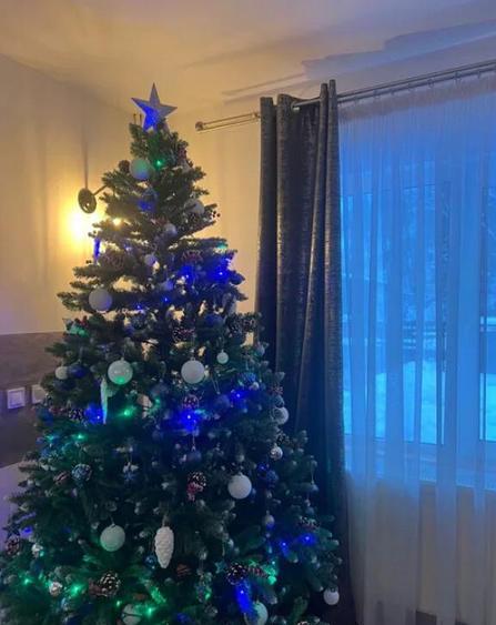 OFERTA LAST MINUTE! Pensiune 6 camere Moeciu de Sus disponib - 3