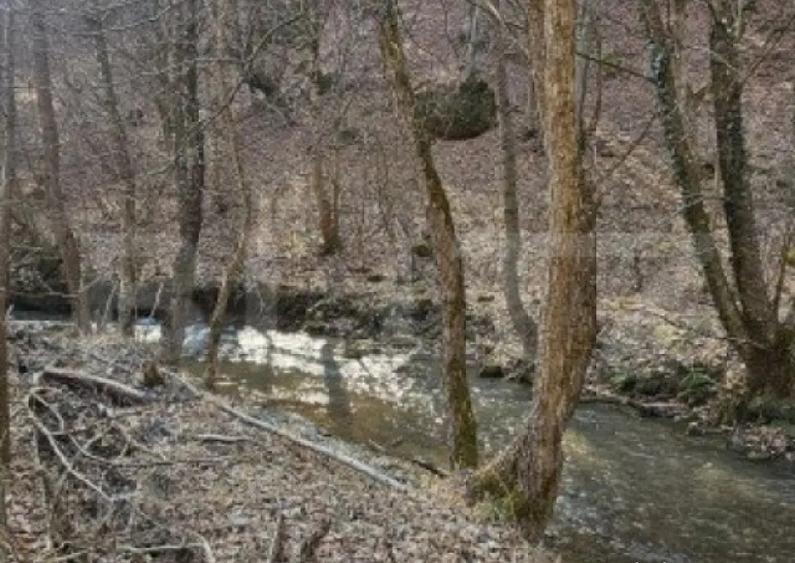 Casa in inima naturii, 140 mp la doar 15 minute de H - 7