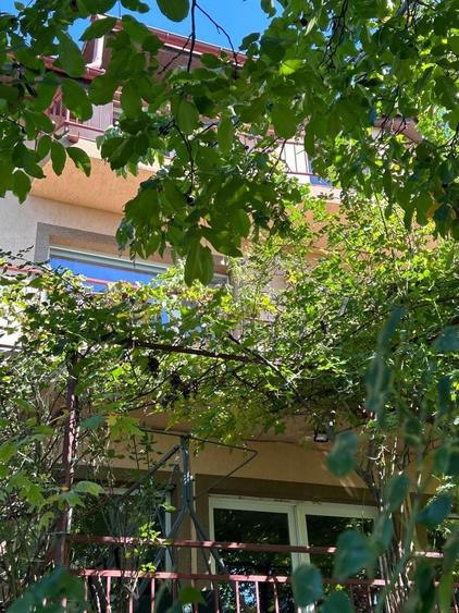 Casă individuală Buftea, 3.162 mp teren, ieșire spre lac - 35