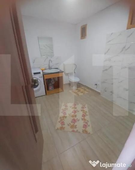 Blitz va ofera spre vanzare casa in Vladimirescu - 9