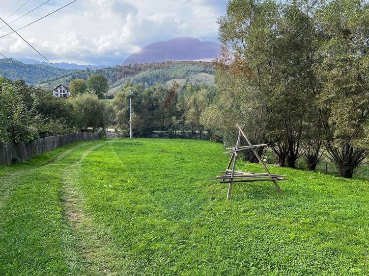 Teren 6,135mp Moieciu de Jos / Strada Principala - 4
