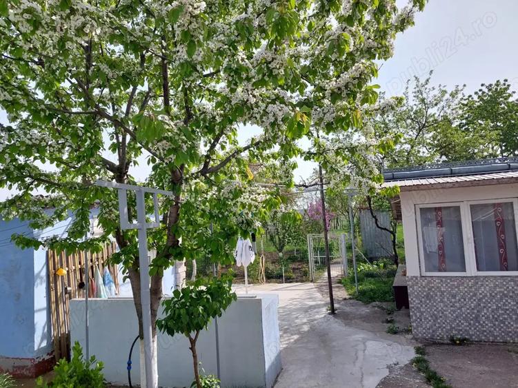 Vand casa sat Dorobanti - 3