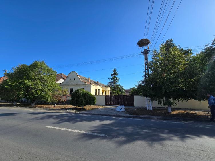 Cenad-Ultracentral-2 fronturi- Casa cu ahitectura deosebita - 21