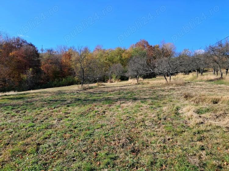 Casa Valea tarnei 8 hectare p mant - 2