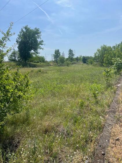 Teren Isalnita drumul european - 4